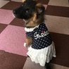 娘の服着せてみた