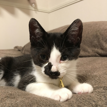 家族が増えました⭐️