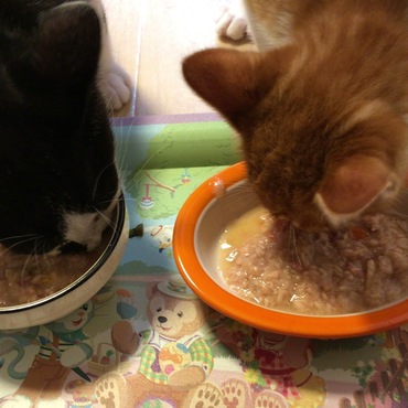 ご飯も一緒(*^_^*)