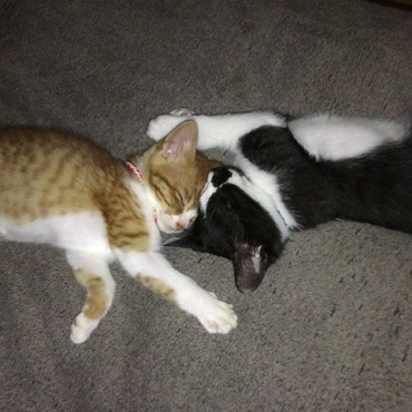 寝るときも一緒(*^_^*)