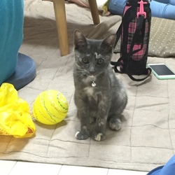 3ヶ月を過ぎると大人みたい