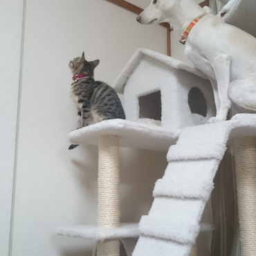 あの…(笑)重量オーバーですが…(笑)