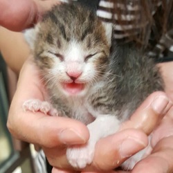 2016年6月21日の出来事