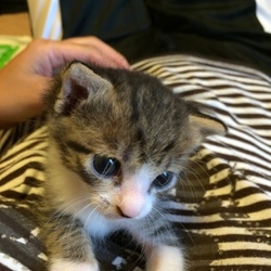 「2016年6月21日の出来事」サムネイル3