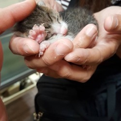 「2016年6月21日の出来事」サムネイル2