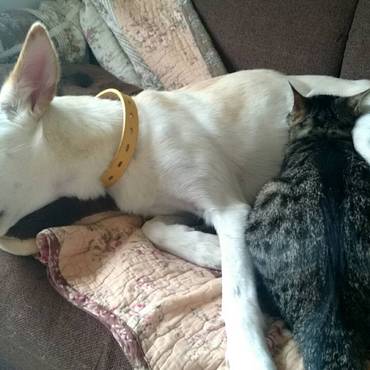 もう大人なんだけど、まだまだ甘えます(笑)