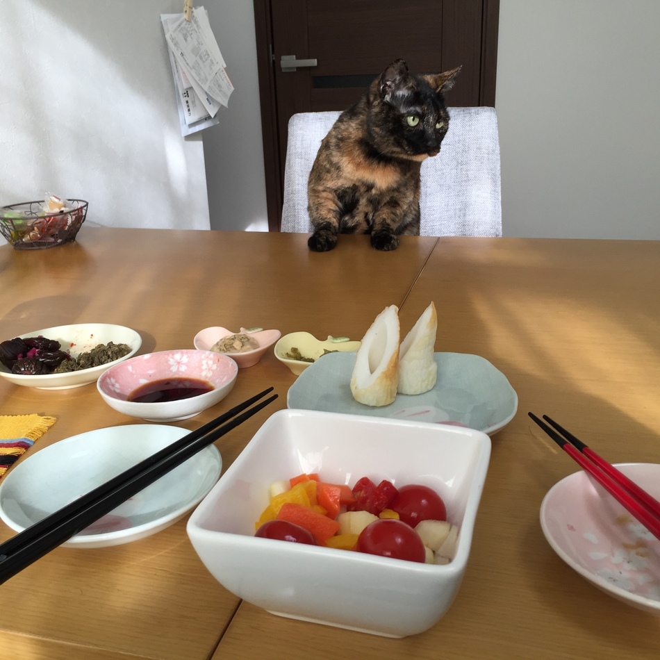 長谷川たいがのカバー写真