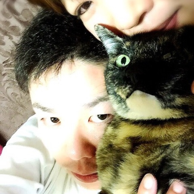 はせがわたいがーのカバー写真