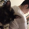 はせがわたいがー