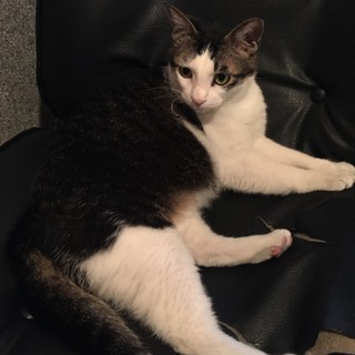 とってもフレンドリーな男の子♪