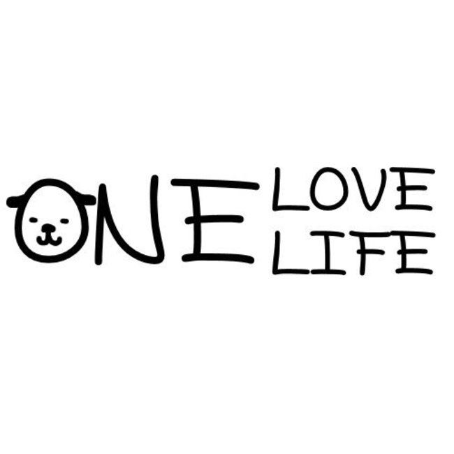 ONE-LOVE.ONE-LIFEのカバー写真