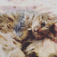 まさむね