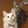 おねだりする時の顔が可愛すぎる❤️