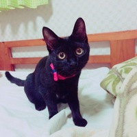 るな