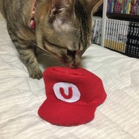 瓜