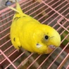 もいかず