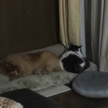仲良し