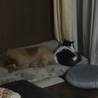 仲良し