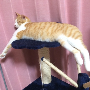 盛大なはみ出具合
