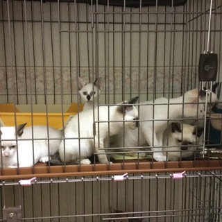 ありがとうございました