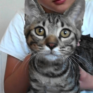 運動神経抜群！マイペースな男の子