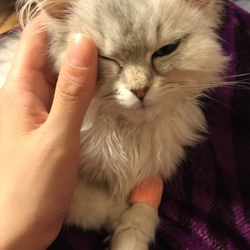 「初めてこのシステム知りました」サムネイル1