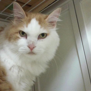 ふわふわモフモフの大ちゃん♪