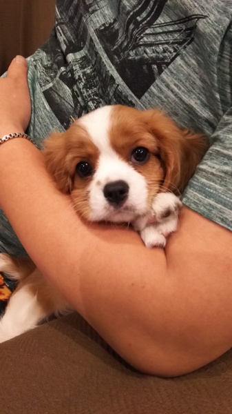 たくさん応募ありがとうございました サムネイル2