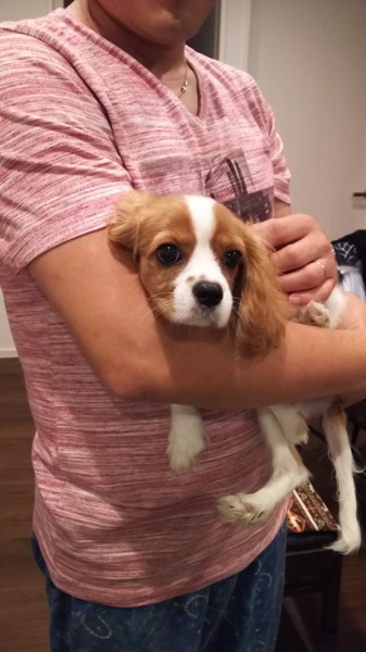 たくさん応募ありがとうございました サムネイル3