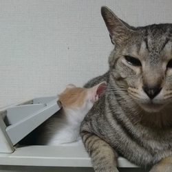 そんな所で▪▪▪