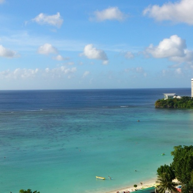 ぐうママ（アニマルレスキュ－マム）のカバー写真