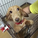 一旦締め切っています!!!!!