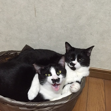 二人で仲良く悪巧み？　 　朧～悪い顔してるよ（ーーメ）