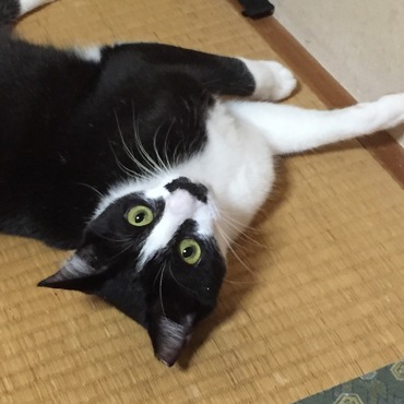 朧　「ビックリした～～驚かすなよ～」　　　　ビビリな仔（～～；