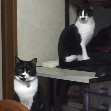 微妙な立ち位置・・・暴れすぎて叱られた後です（＾＾；