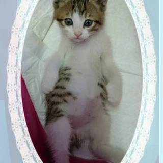 僕、可愛いでしょ(*≧з≦)