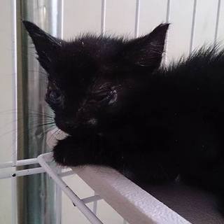 命の期限7.11(月)迄！②クローーー!!!