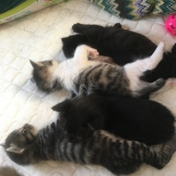 里子に出した仔の画像を削除できる訳がない