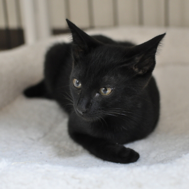 ちょっと一休み