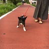 散歩