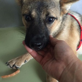 左足欠損でも、頑張っています！