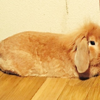 ありがとうございました