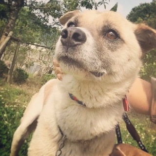 14日迄期限延長！その後の猶予はありません。