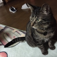 鈴