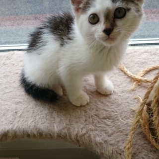 私を家族に迎えて