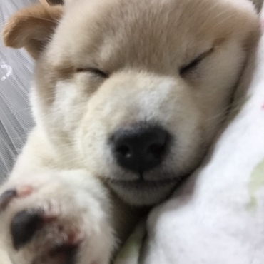 の写真
