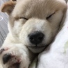 の写真