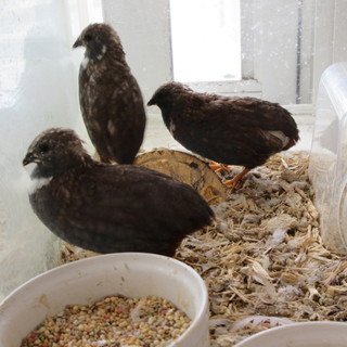 すてきなご縁に恵まれました