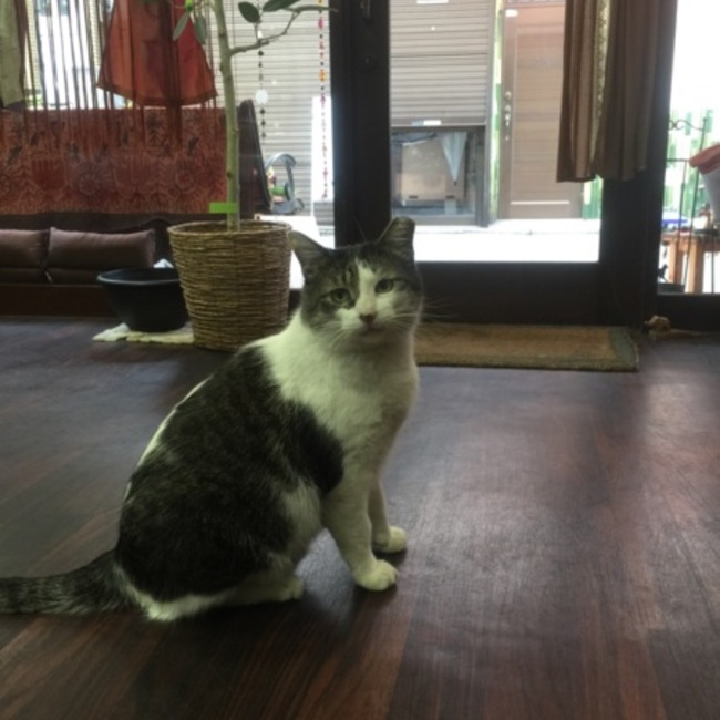 ティルタのカバー写真