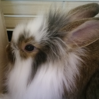 ありがとうございました。